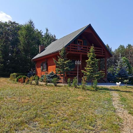 Domek Na Wsi Nad Jeziorem , Prywatny Staw Kamienczyk Dezerta Luaran gambar
